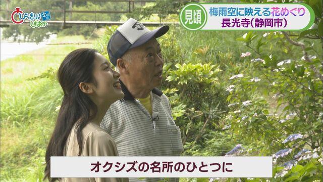 画像: 安本さんに案内される嶋田アナ