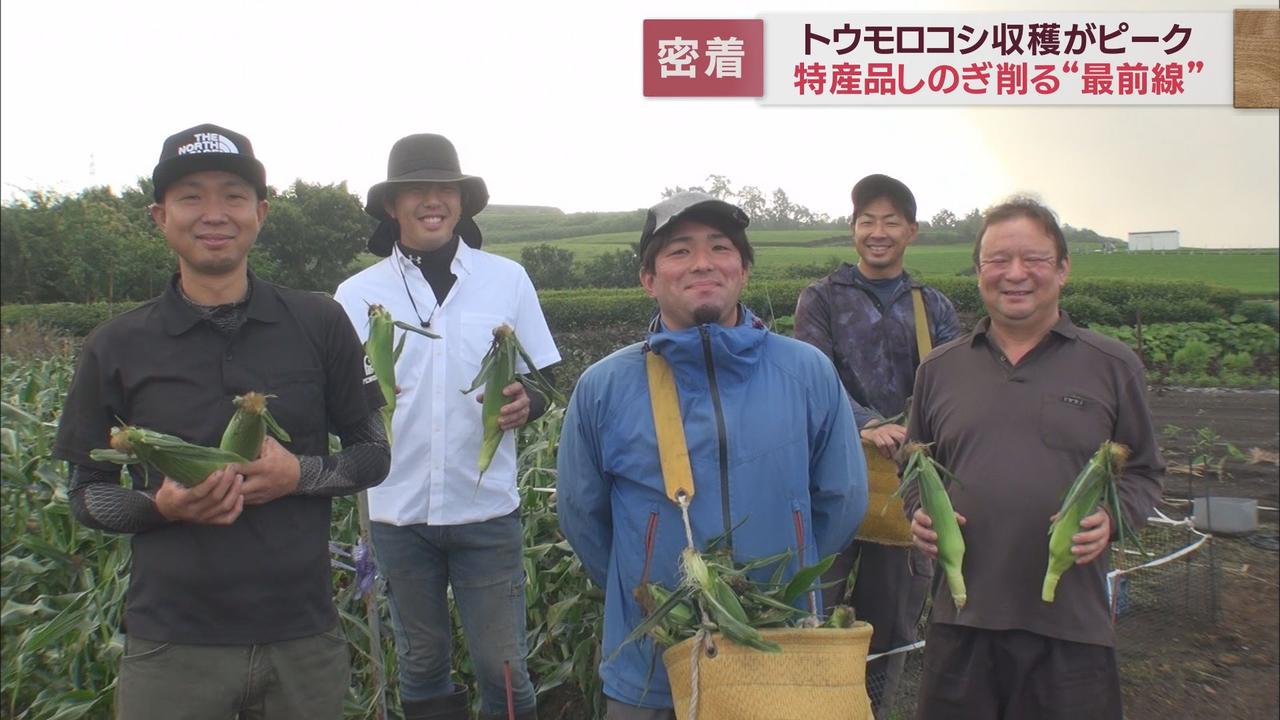 画像2: 富士山麓わくわくコーン