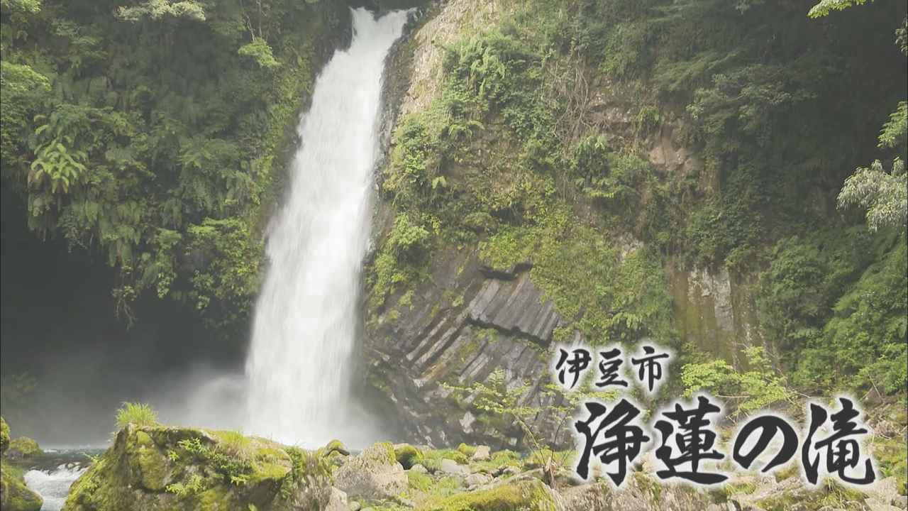 画像1: 「浄蓮の滝」…川端康成さんの代表作「伊豆の踊子」の舞台にも