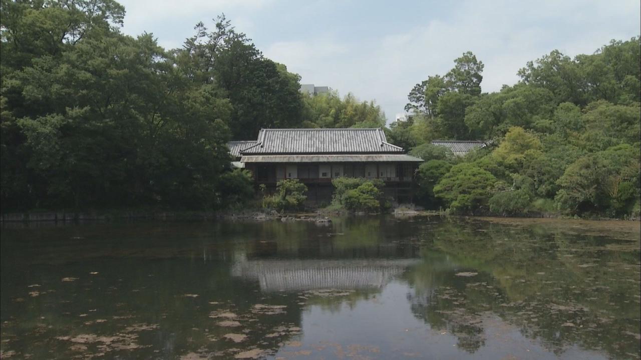 画像: 満水になった小浜池（6月20日）