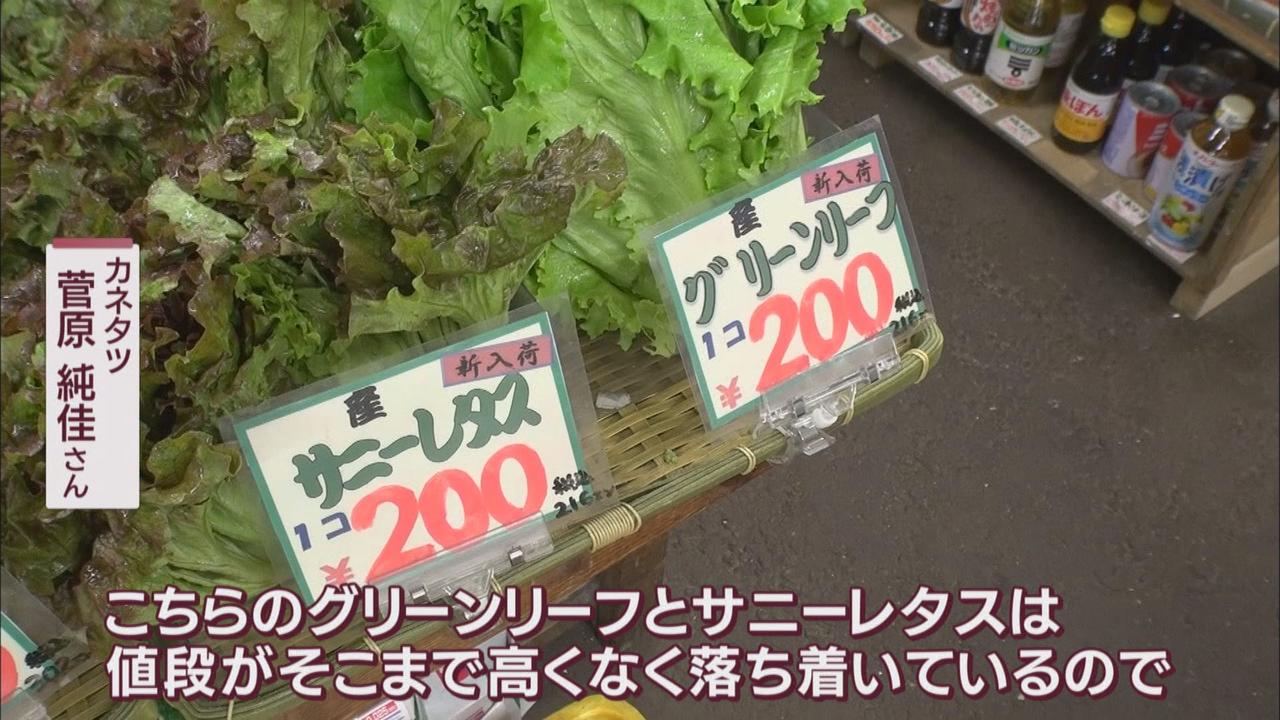 画像: キャベツの代用になる野菜は…