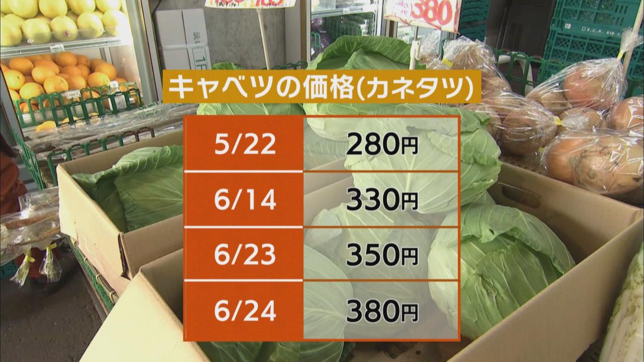 画像3: 雨と暑さでキャベツも高騰　消費者「300円以上だと我慢する」　代用できる野菜は何　とんかつ店も「厳しいけど…」