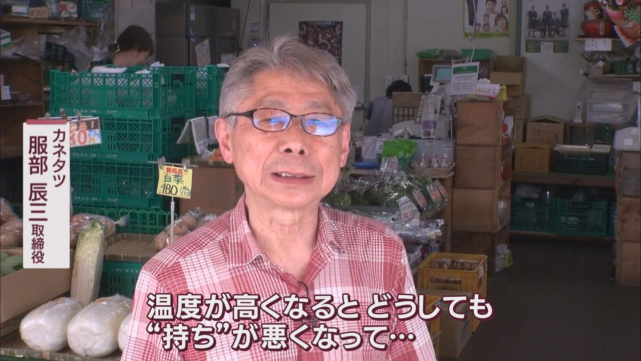 画像2: 雨と暑さでキャベツも高騰　消費者「300円以上だと我慢する」　代用できる野菜は何　とんかつ店も「厳しいけど…」