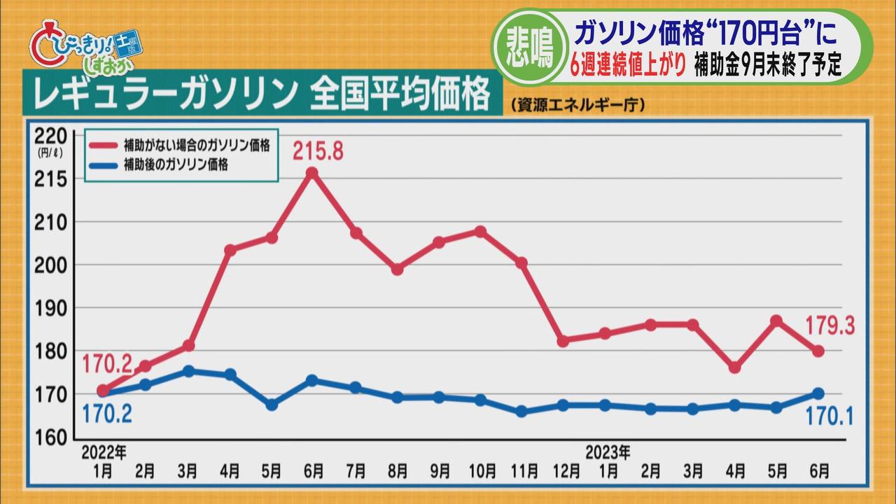 画像3: 静岡市内のガソリンスタンドでは…。