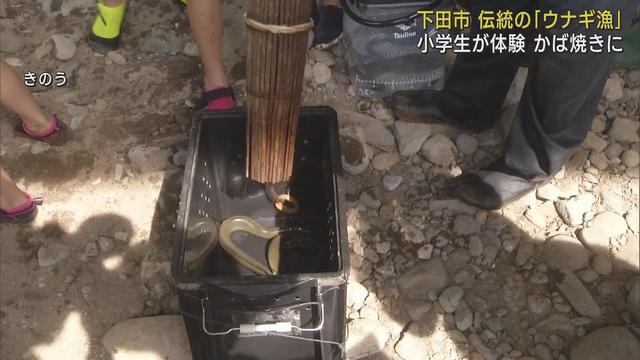 画像: 小学生が地域伝統の「ウナギ漁」を体験…１４匹の大漁！　かば焼きの味は…　静岡・下田市 youtu.be