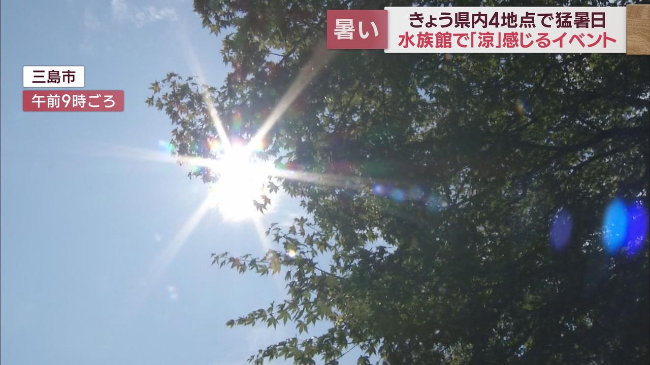 画像: 浜松市では３６℃台も　御殿場市は７月最高気温３４．９℃