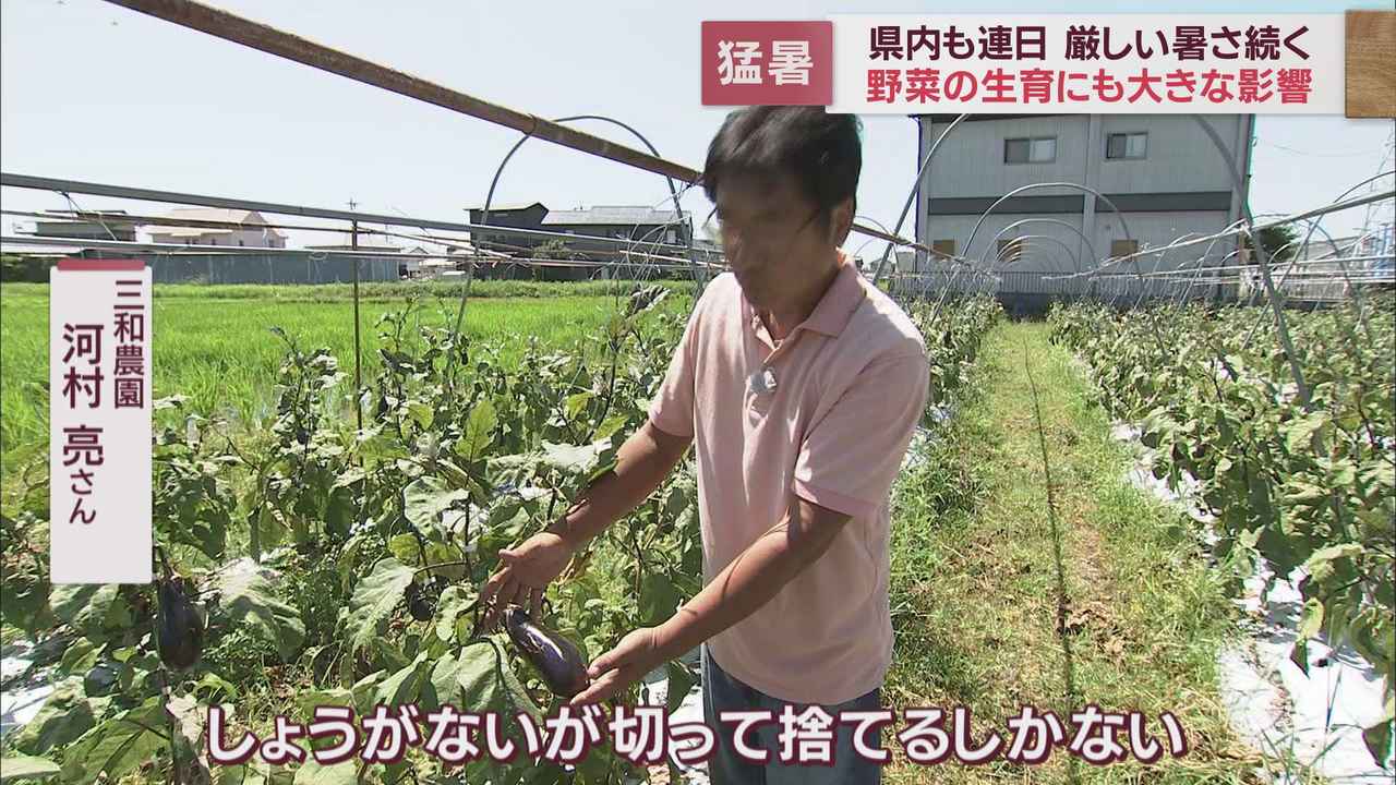 画像2: 「Ｂ品としても出せない」「出荷できない」