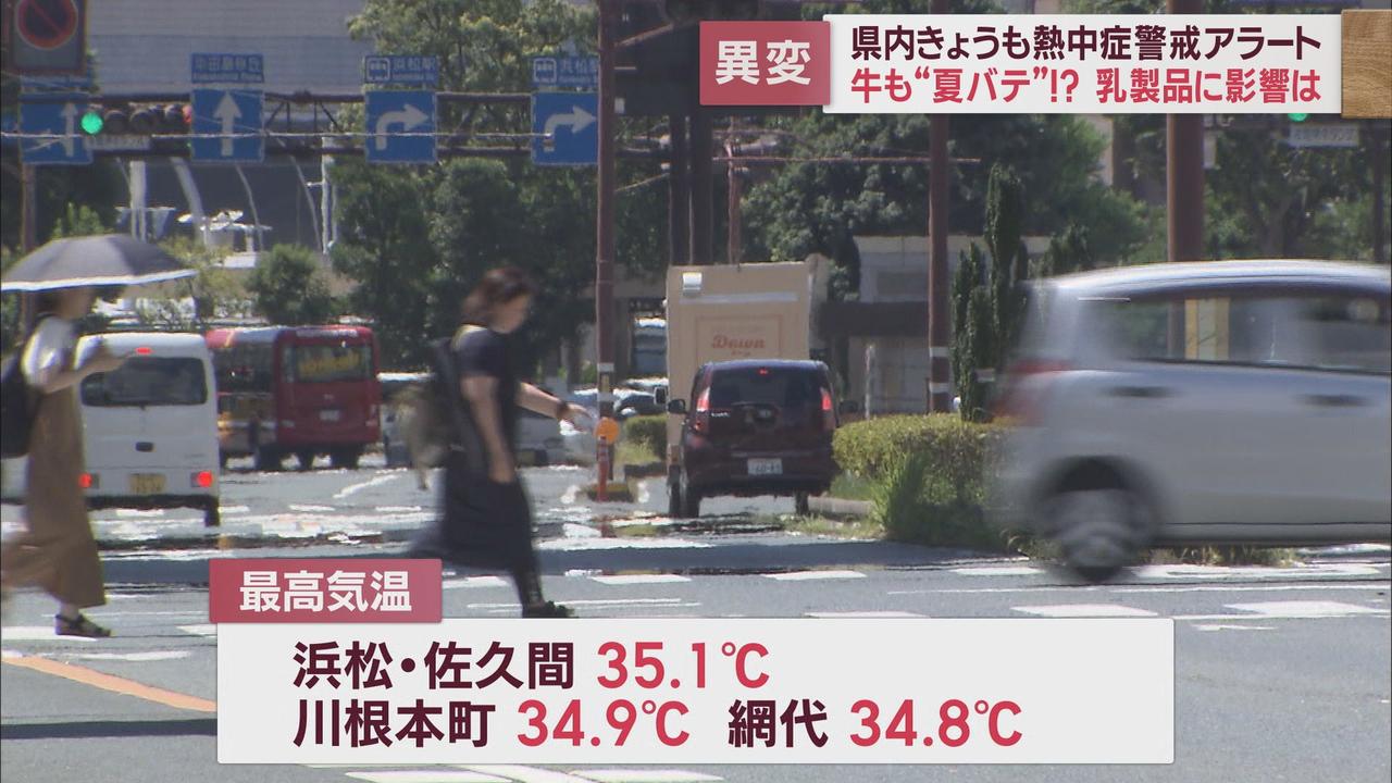 画像2: 静岡県8日連続熱中症警戒アラート　人間だけでなく牛も夏バテ　乳製品さらに値上げの恐れ