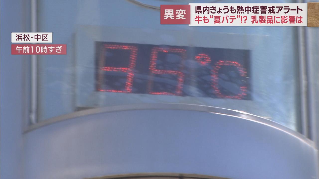 画像1: 静岡県8日連続熱中症警戒アラート　人間だけでなく牛も夏バテ　乳製品さらに値上げの恐れ