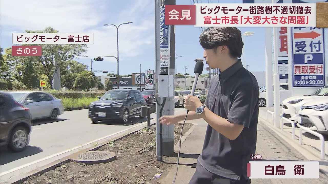 画像: 市長「場合によっては被害届も」…ビッグモーター「街路樹問題」　静岡・富士市 youtu.be