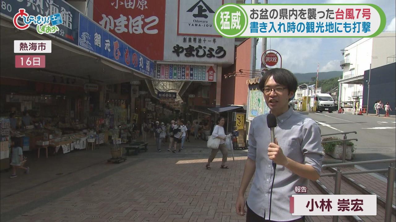 画像1: 書き入れ時の台風に観光地は…