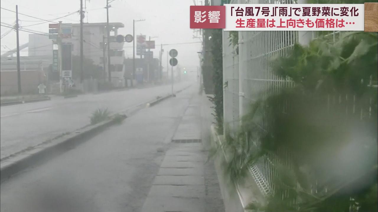 画像1: 台風7号はナスにとっては恵みの雨? それでも高い今年の夏野菜