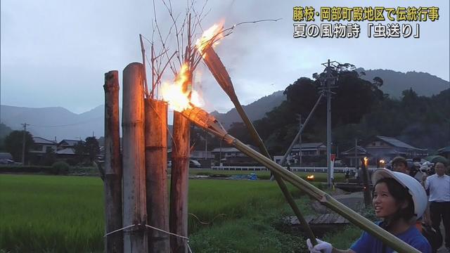 画像: 【夏の風物詩】たいまつの火に飛び込む害虫を駆除　1キロの農道に大たいまつ111本　静岡・藤枝市 youtu.be