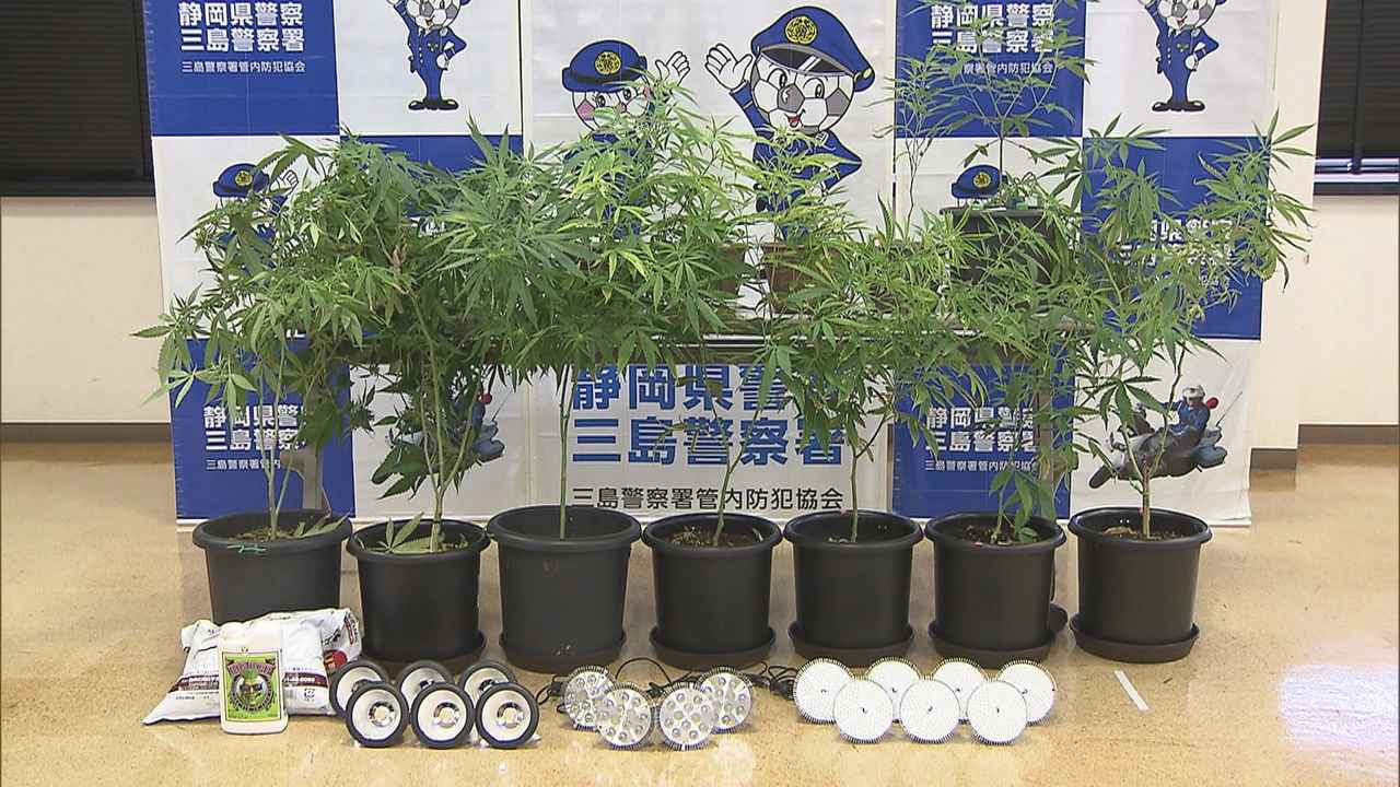 画像: 「自分で使うために」…自宅で大麻草栽培か　49歳の男を逮捕…自宅に照明器具や肥料など「栽培キット」　静岡・函南町