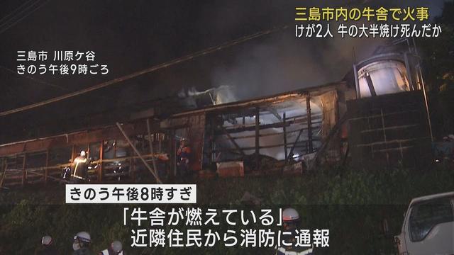 画像: 牛舎で火事およそ30頭の牛が焼け死んだ模様　従業員2人がやけど　静岡・三島市 youtu.be