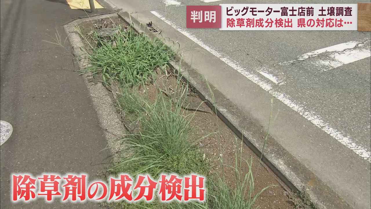 画像: ビッグモーター富士店の店舗前の土壌から除草剤の成分が検出　市民からは怒りの声が　静岡・富士市