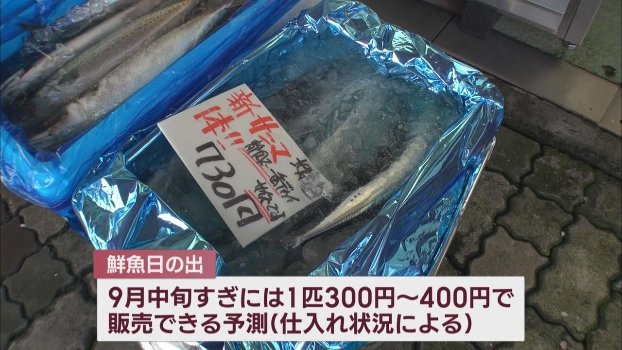 画像: 「海水温の上昇」も原因の一つか…サンマが高騰　水温上昇は静岡県のシラス漁にも影響　静岡