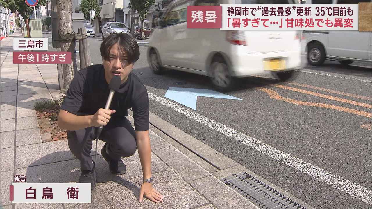 画像: さっぱりしたものが欲しいから？　厳しい残暑にところてんの売れ行き好調　静岡・三島市