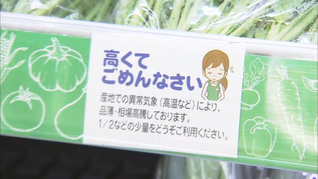 葉物野菜コーナーに『高くてごめんなさい』…厳しい暑さに野菜が軒並み値上がり　一方で激安になった人気の果物も　静岡