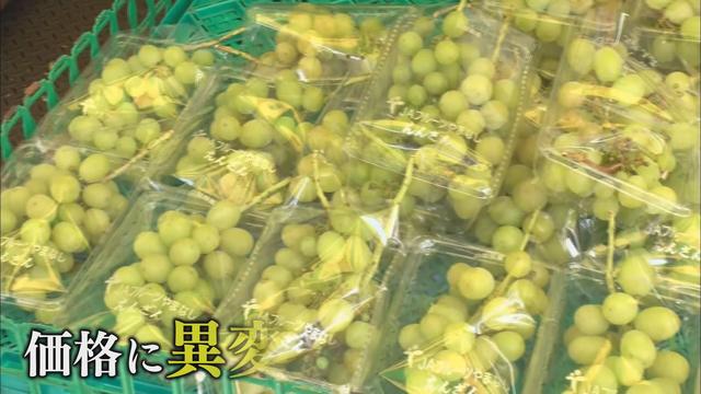 葉物野菜コーナーに『高くてごめんなさい』…厳しい暑さに野菜が軒並み値上がり　一方で激安になった人気の果物も　静岡