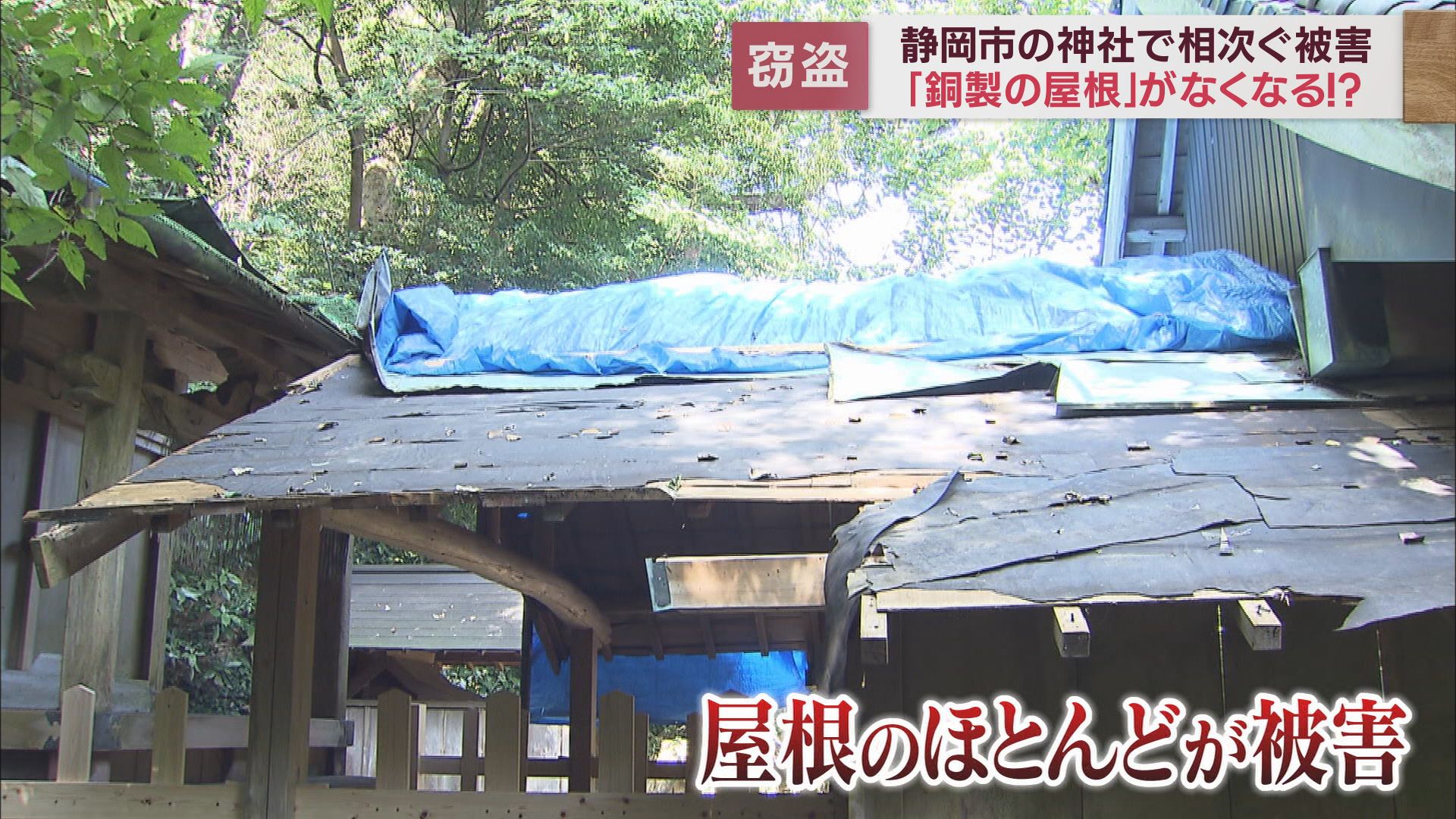 ほとんどの屋根が被害