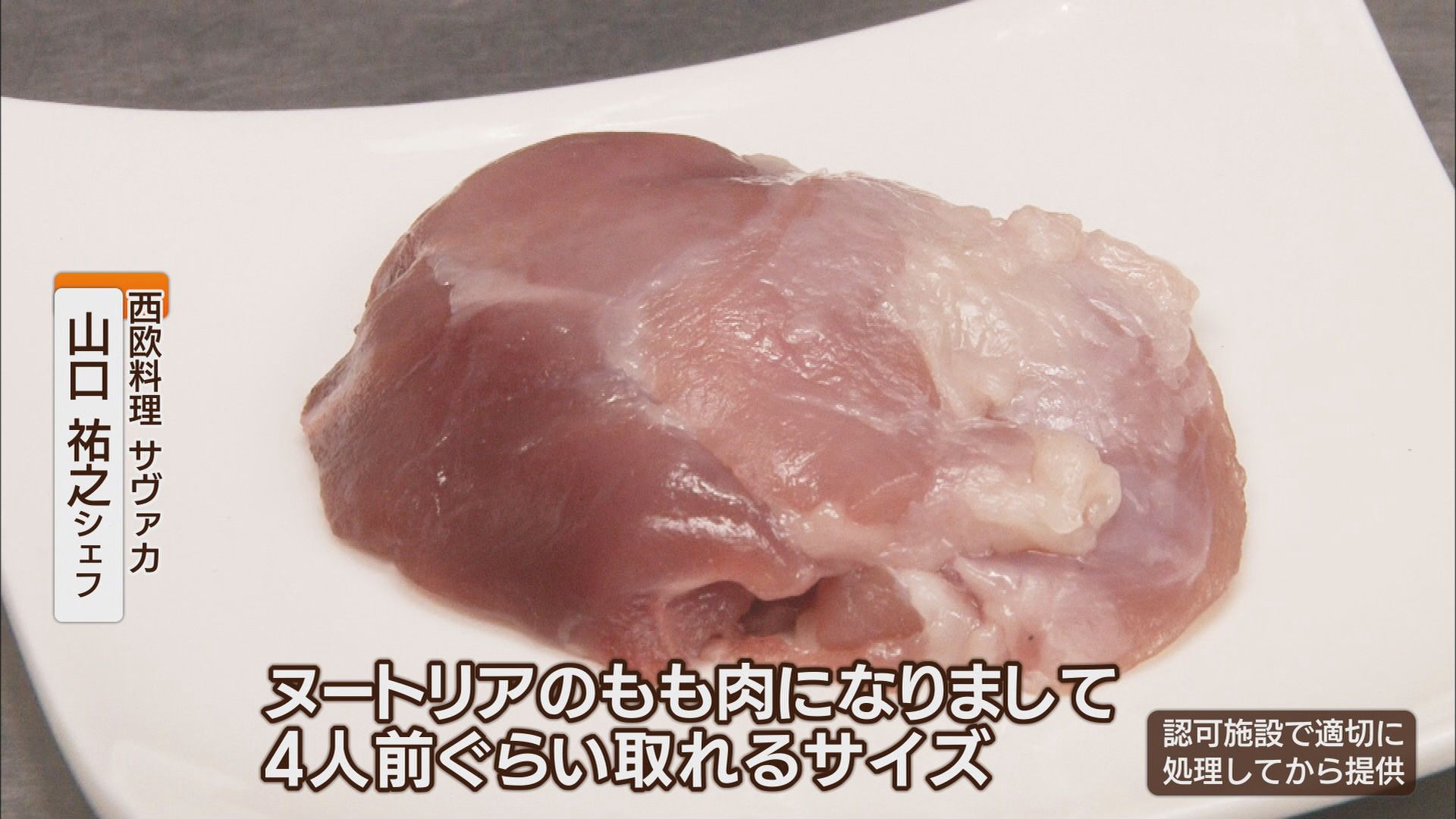 ヌートリアのもも肉