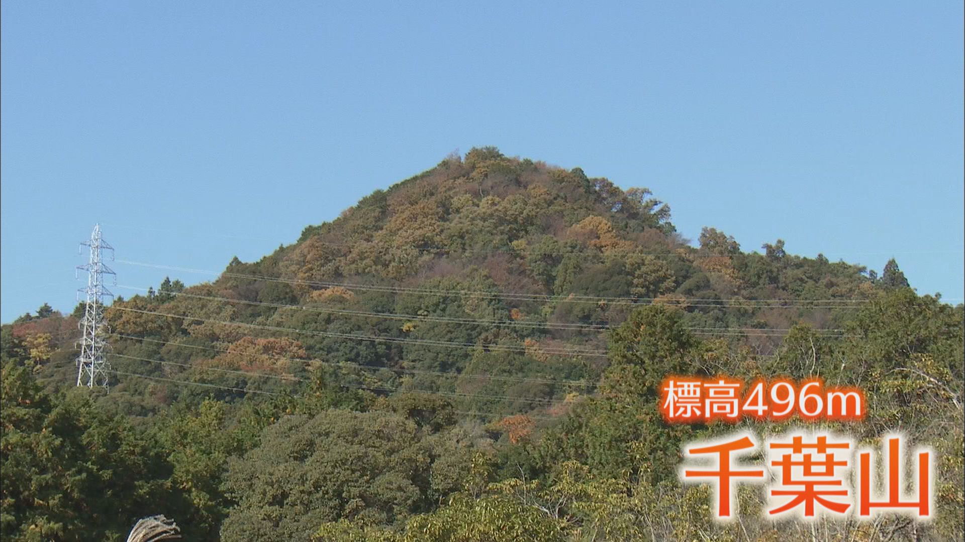 標高496mの低山「千葉山」の紅葉…真っ赤に色づくドウダンツツジ　山頂には市内一望スポットも　静岡・島田市