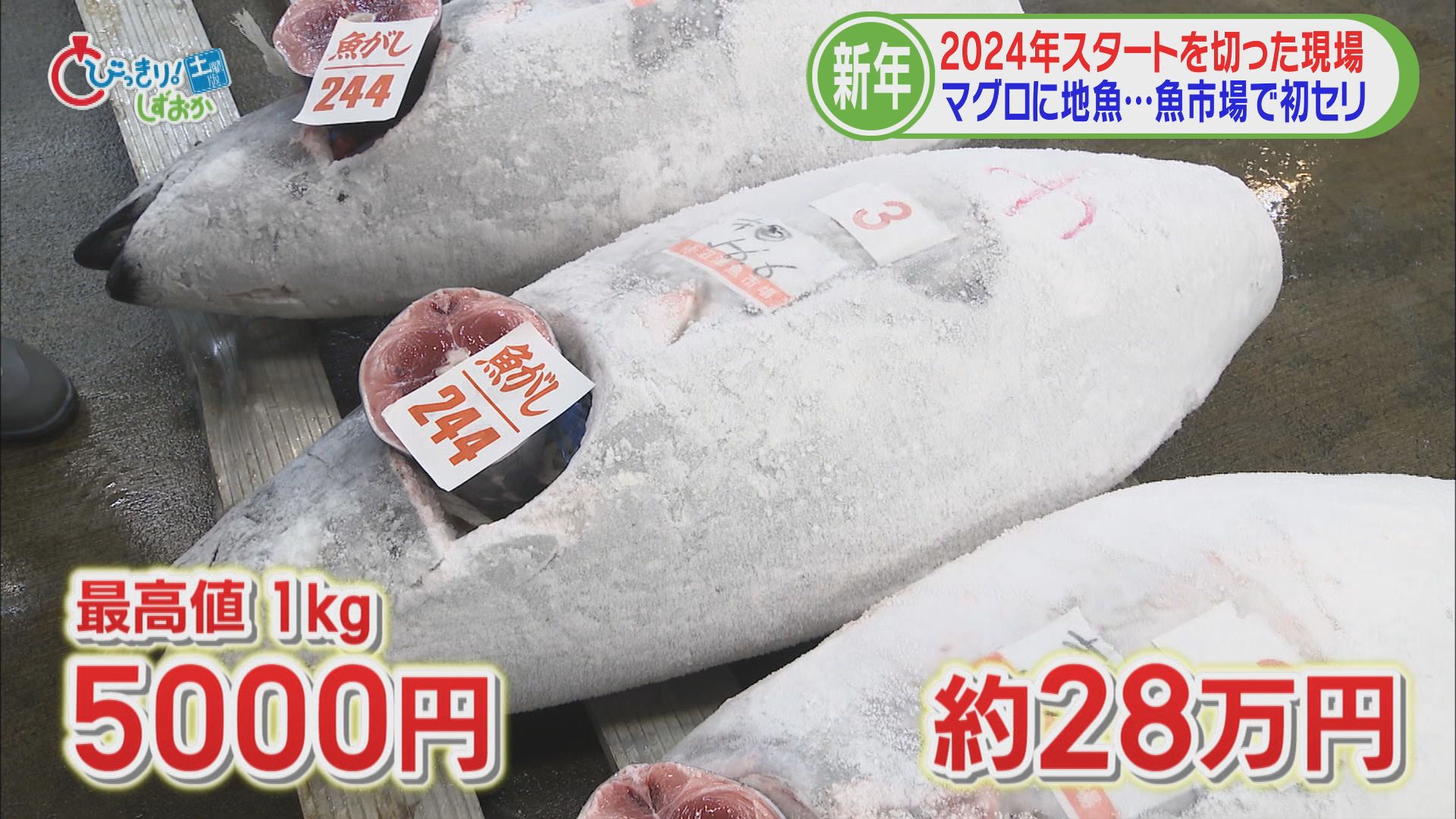 マグロに地魚…魚市場で初競り　初日は100種類20トンと例年並み　「去年は猛暑で値段は高め。この春の漁に期待」　静岡・沼津魚市場