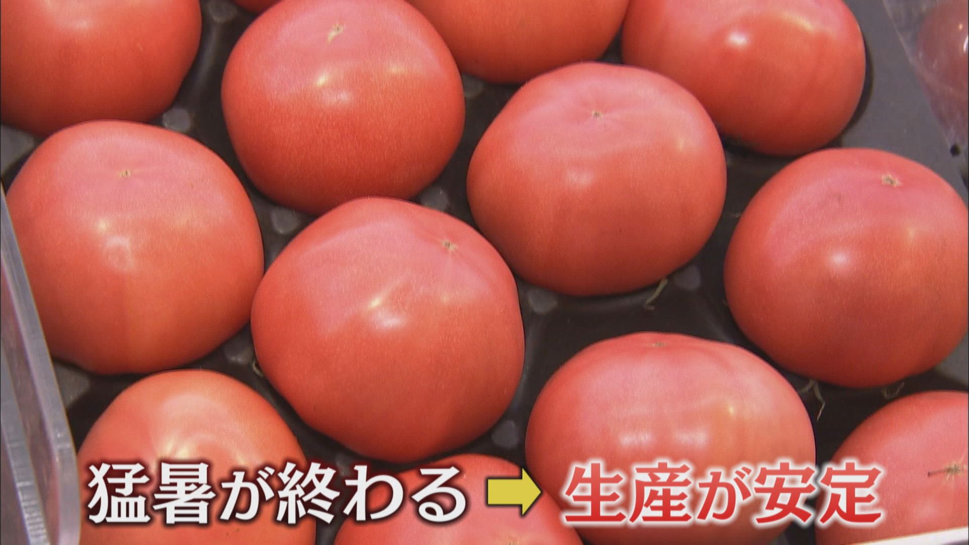 トマト加工品がピンチ…ケチャップ、トマトジュースが次々と値上げ　トマトの価格は安定してきたのに…　静岡