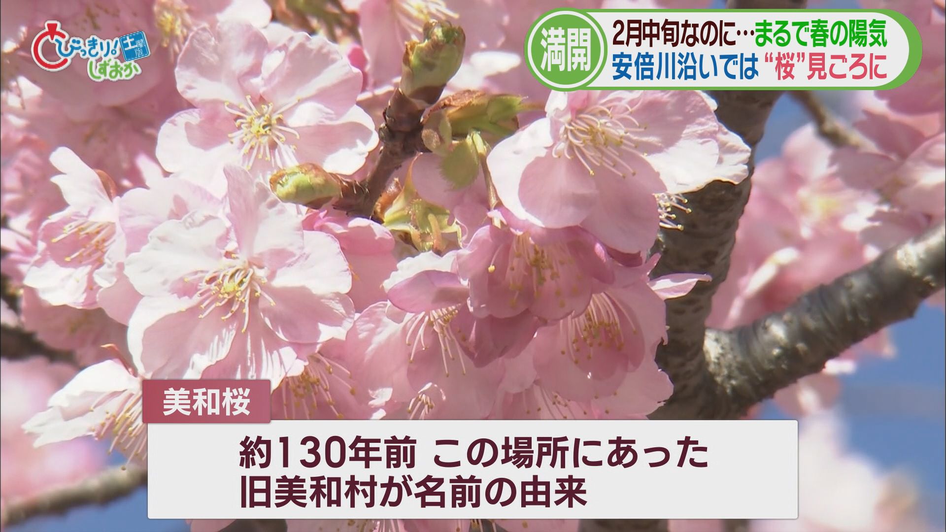 各地で20℃前後…季節外れのポカポカ陽気　ジェラート店には冷たいアイス求める客も　/今週の静岡