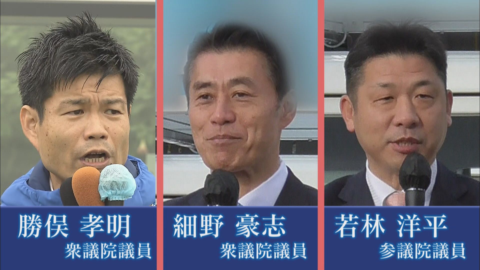 静岡県の二階派所属議員