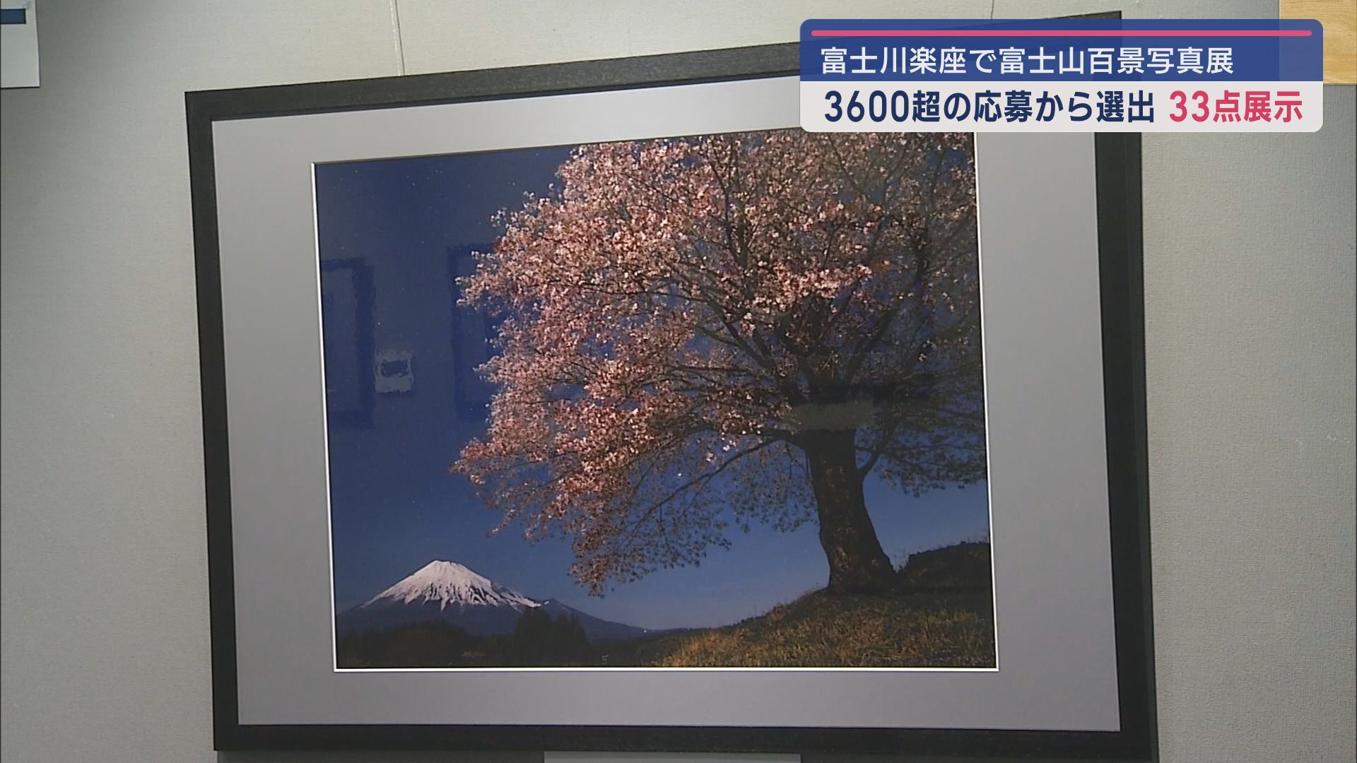 道の駅　富士川楽座