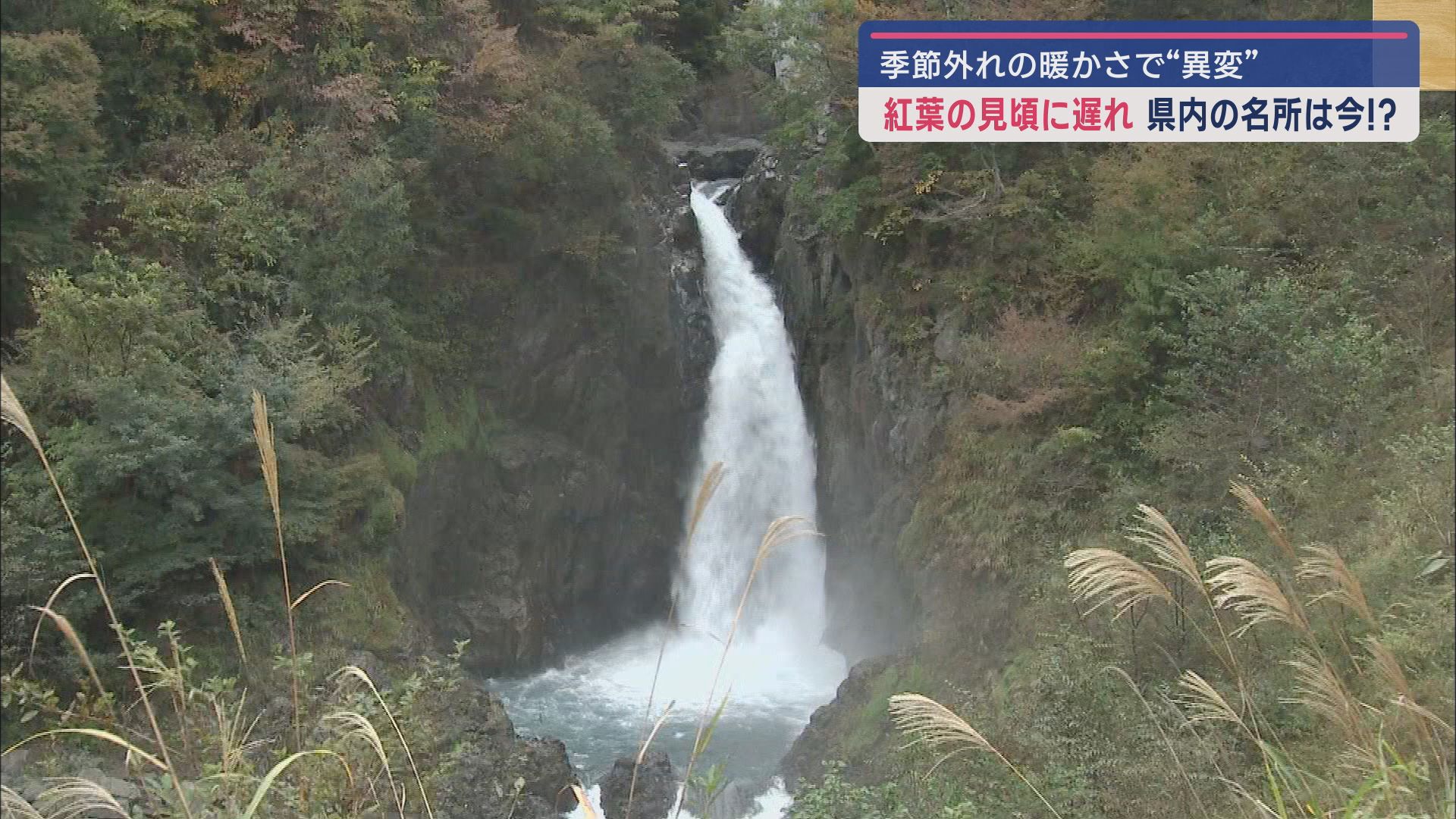 赤水の滝