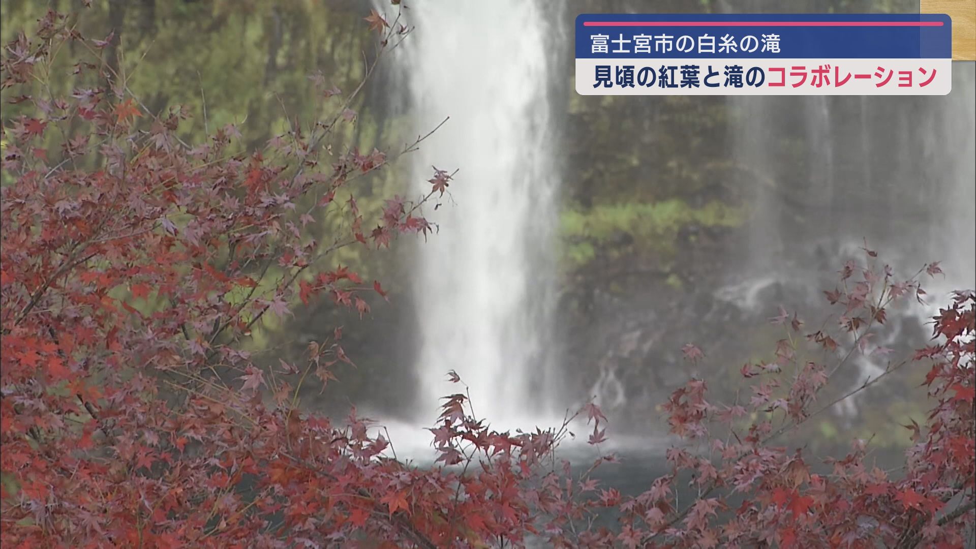 白糸の滝