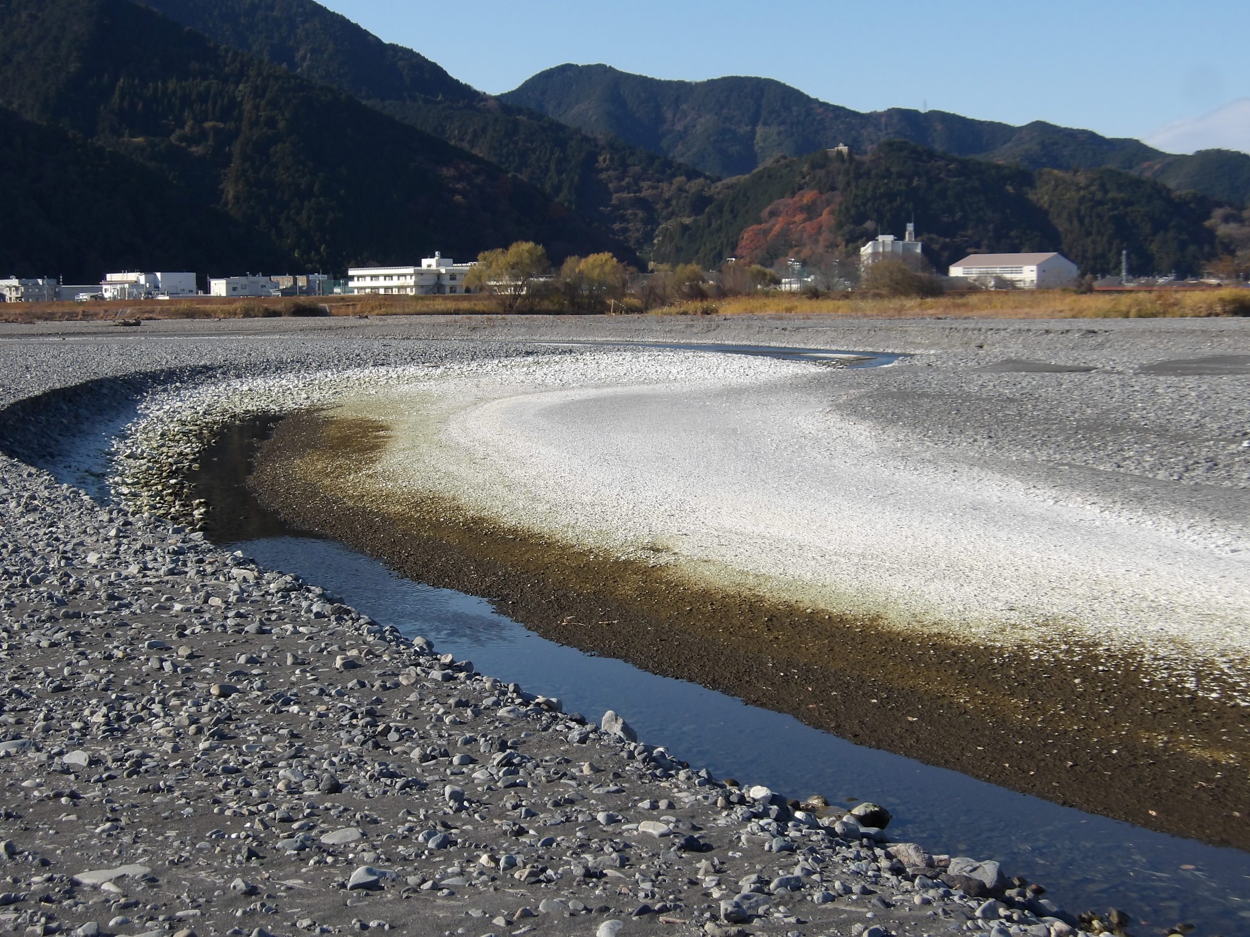 安倍川の瀬切れ