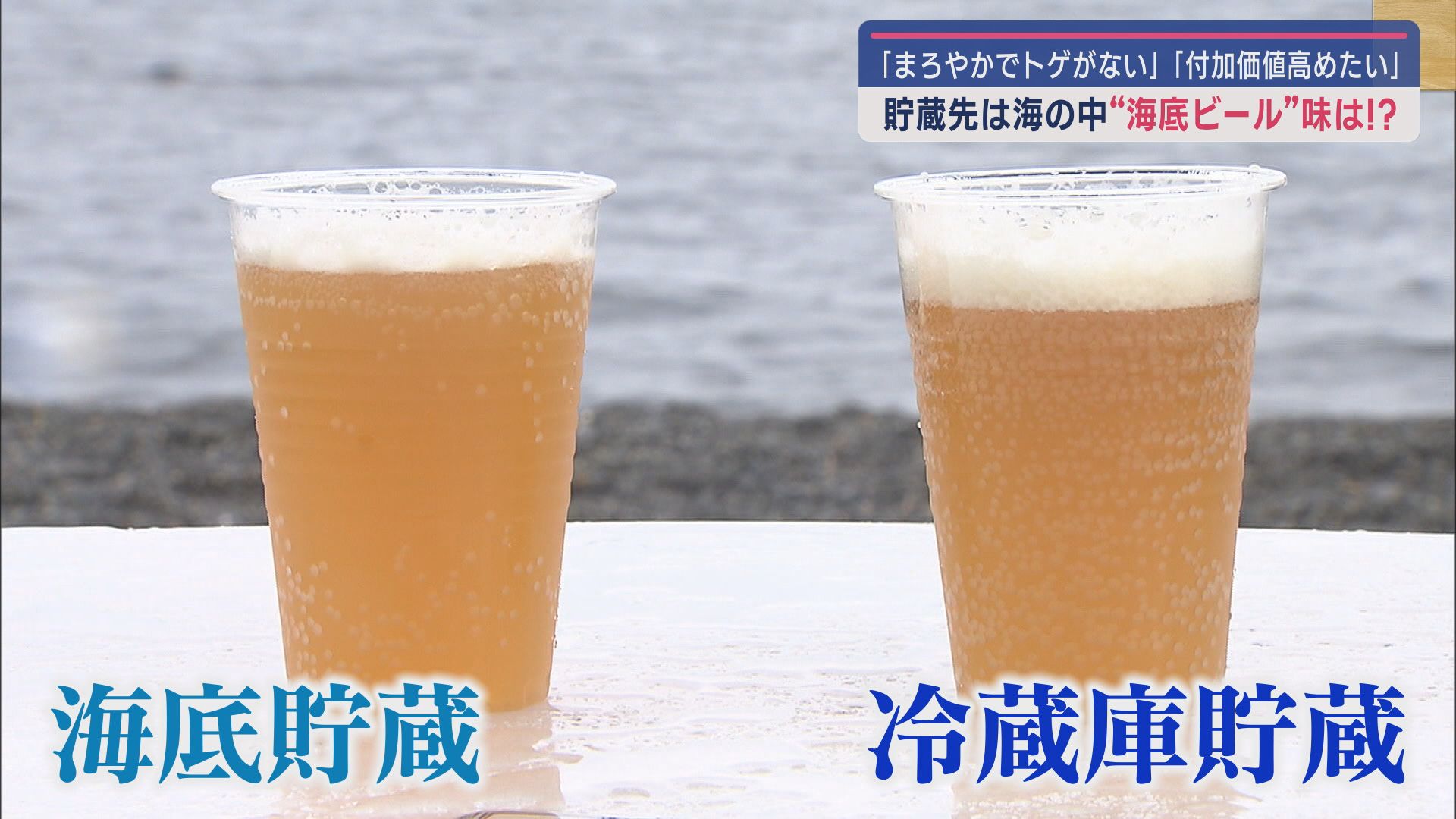 左が海底ビール