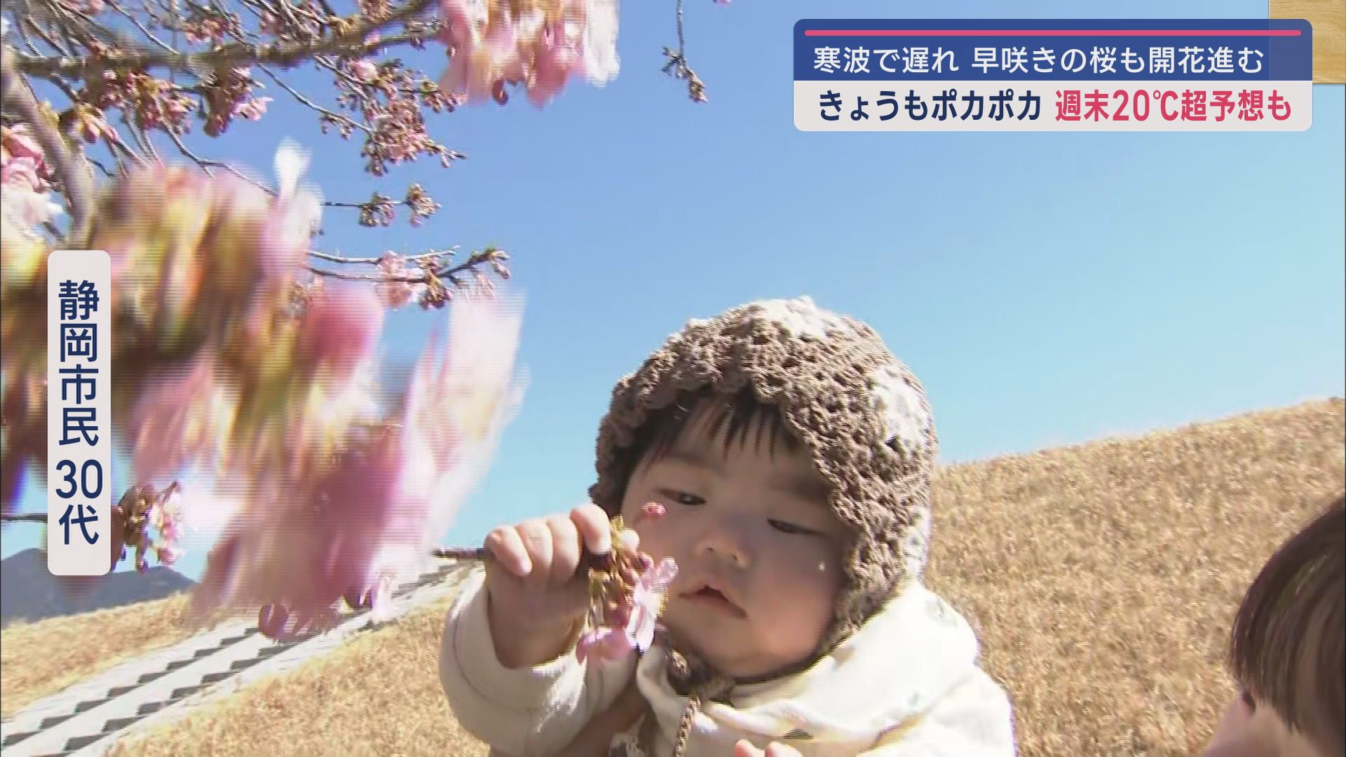 安倍川堤防沿い