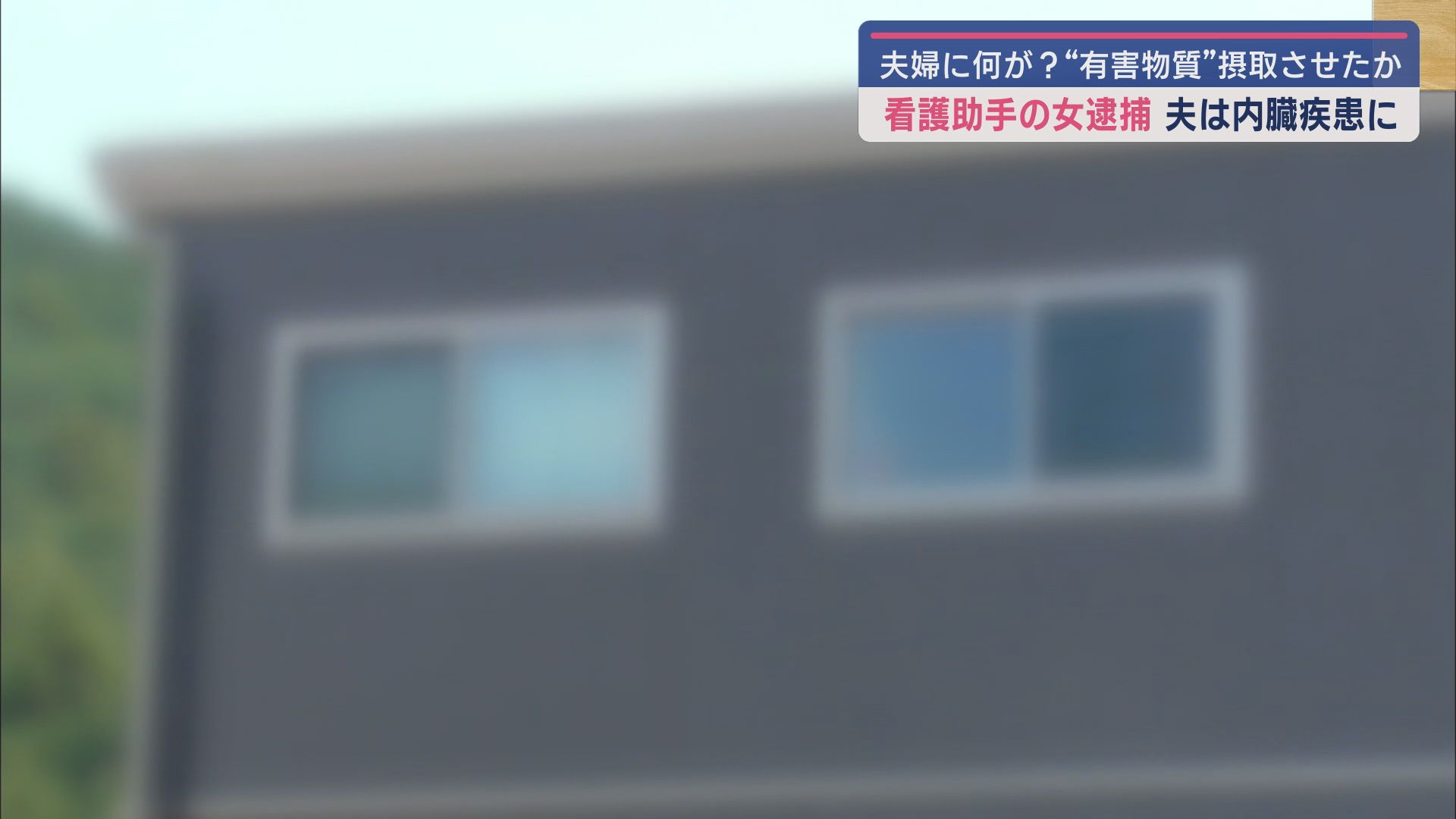 裾野市茶畑