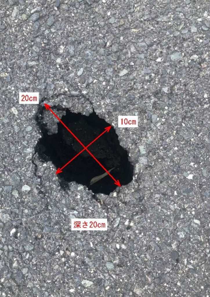 浜松市提供写真