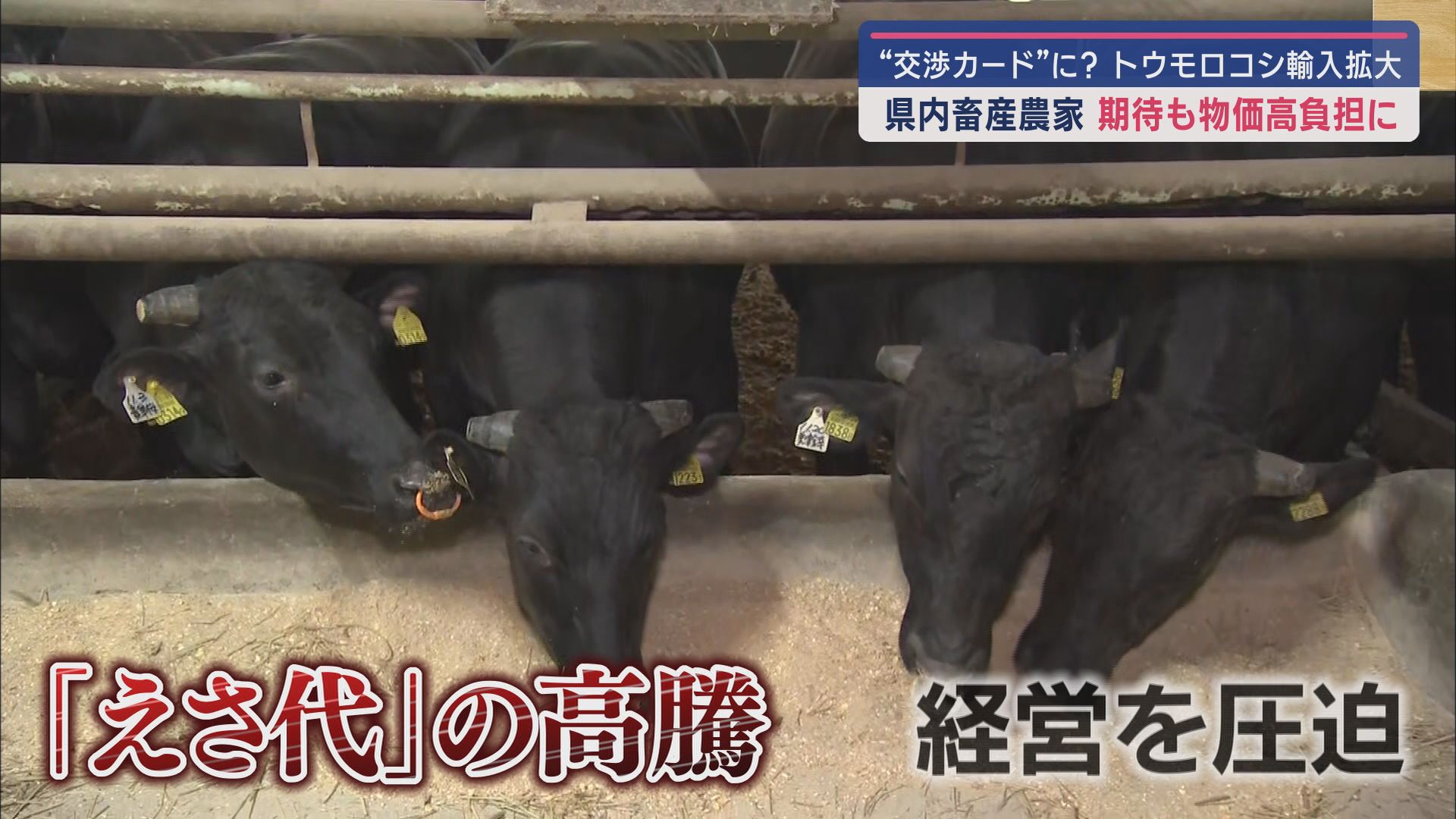 「えさ代」の高騰