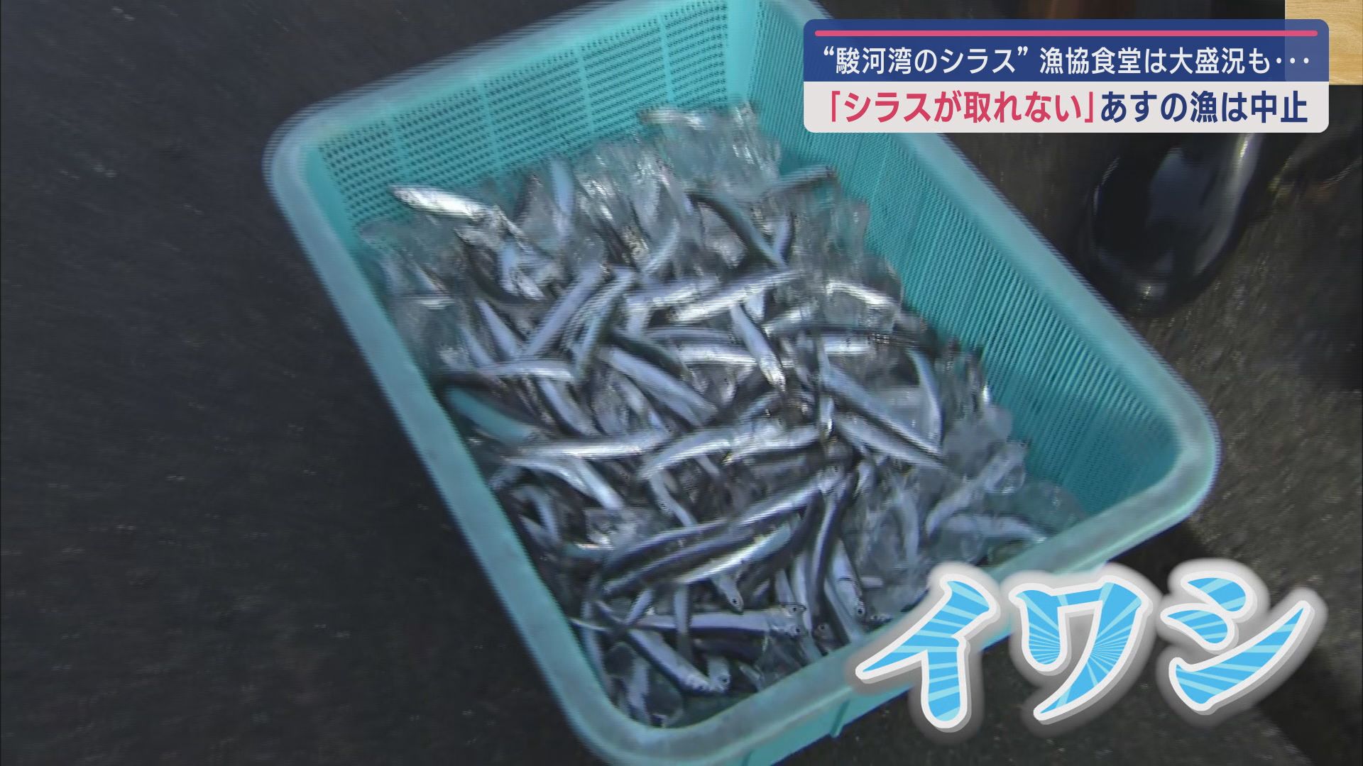 不漁の原因は?