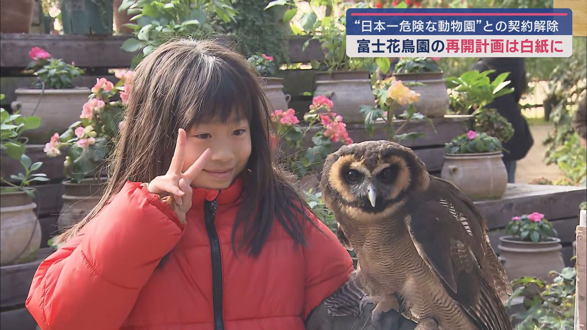 富士花鳥園