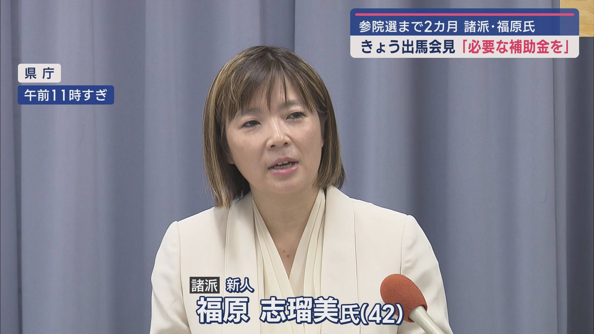 NHK党・新人 福原志瑠美氏