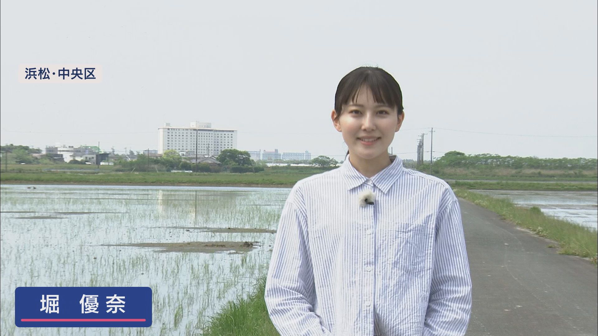 コメ不足のいまだからこそ重宝? 収穫量が2倍に? 『再生二期作』とは 浜松市