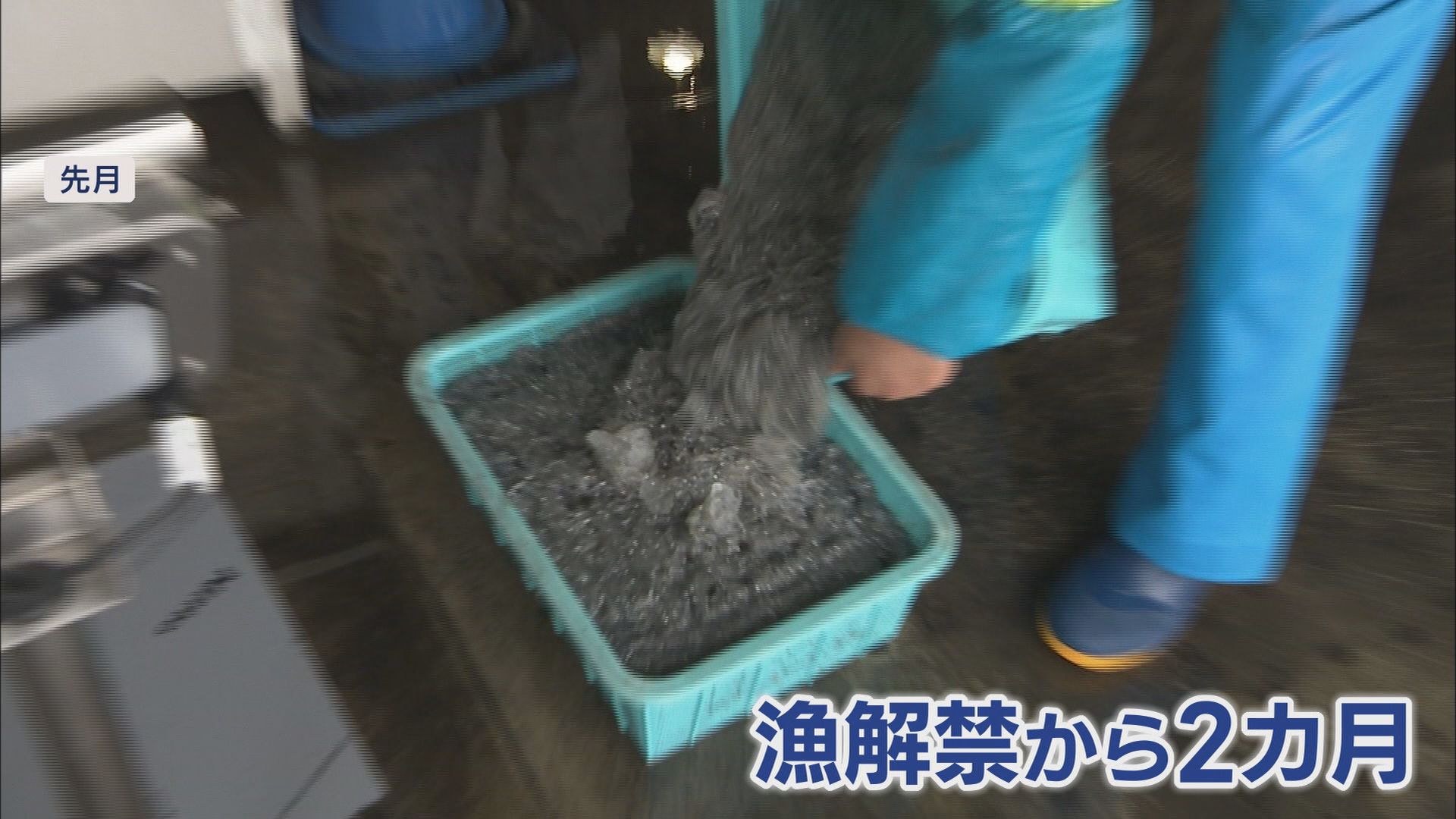 漁協「シラスが全くいない」　不漁の原因は…専門家「黒潮が流れる位置も原因か」　一方で好転の兆しも　静岡・富士市