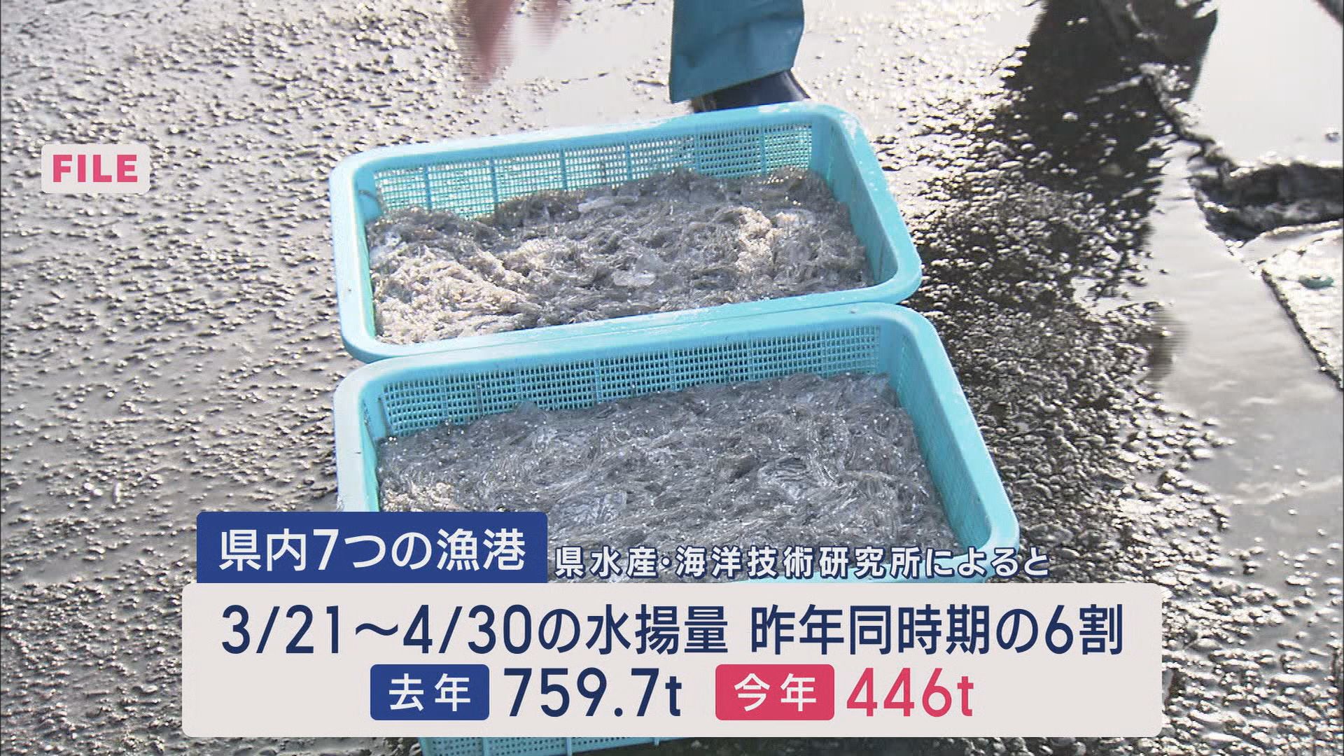 漁協「シラスが全くいない」　不漁の原因は…専門家「黒潮が流れる位置も原因か」　一方で好転の兆しも　静岡・富士市