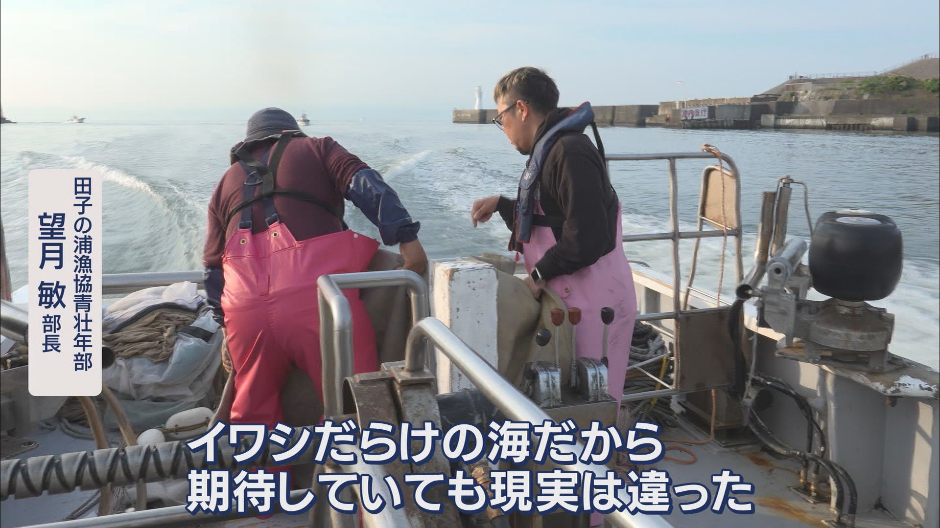 漁協「シラスが全くいない」　不漁の原因は…専門家「黒潮が流れる位置も原因か」　一方で好転の兆しも　静岡・富士市