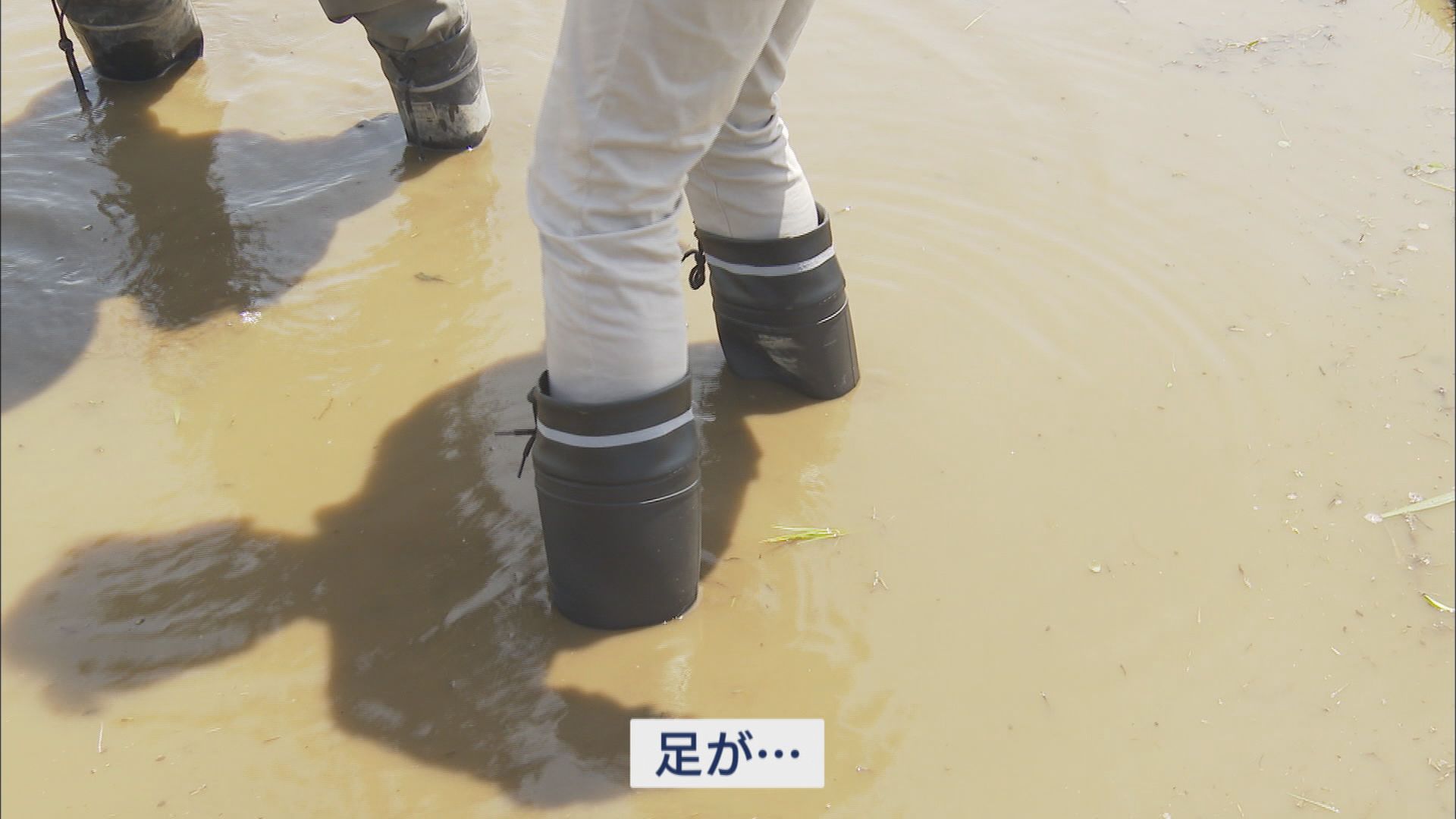 米農家「なぜこんなに上がるか疑問」　一方で厳しい状況続く農業の現場　静岡・富士市