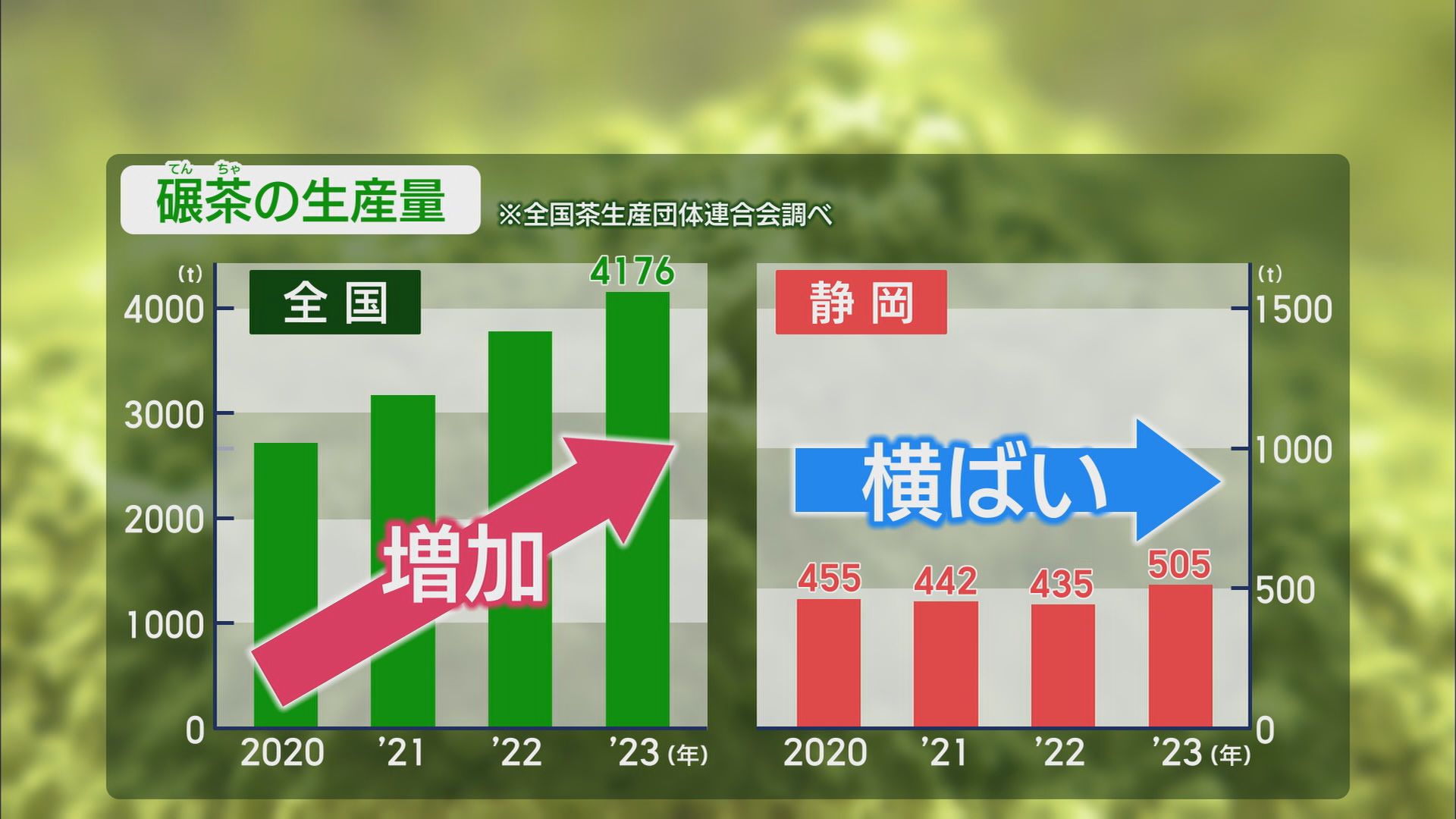 “トランプ関税”が追い風? 輸出が5年前の2倍に 生産が追い付かない…静岡産抹茶が苦戦するヒミツ