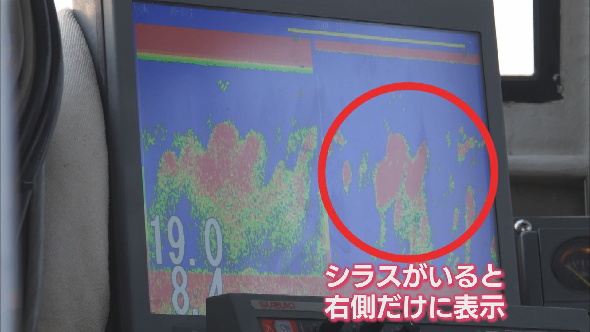 漁協「シラスが全くいない」　不漁の原因は…専門家「黒潮が流れる位置も原因か」　一方で好転の兆しも　静岡・富士市